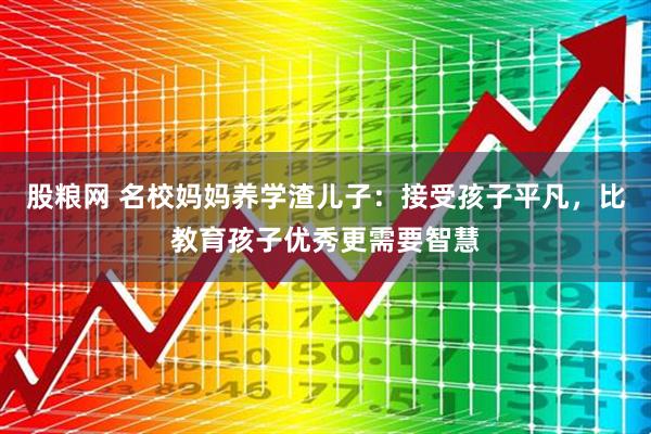 股粮网 名校妈妈养学渣儿子：接受孩子平凡，比教育孩子优秀更需要智慧