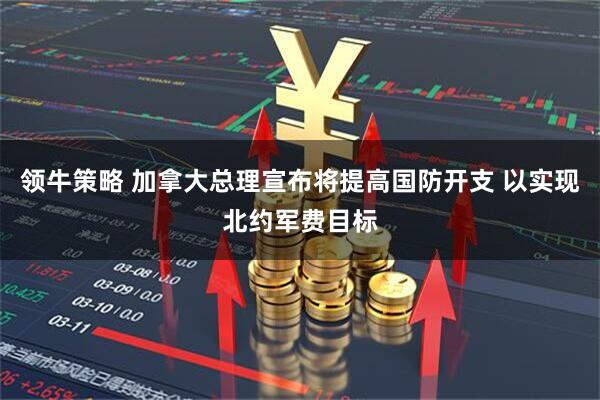 领牛策略 加拿大总理宣布将提高国防开支 以实现北约军费目标