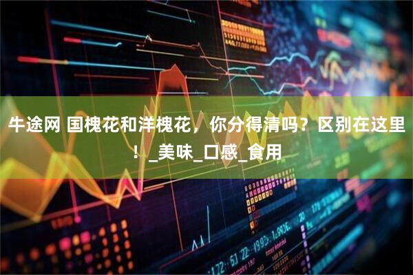 牛途网 国槐花和洋槐花，你分得清吗？区别在这里！_美味_口感_食用