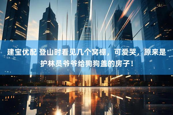 建宝优配 登山时看见几个窝棚，可爱哭，原来是护林员爷爷给狗狗盖的房子！