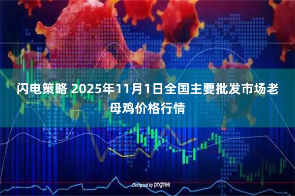 闪电策略 2025年11月1日全国主要批发市场老母鸡价格行情